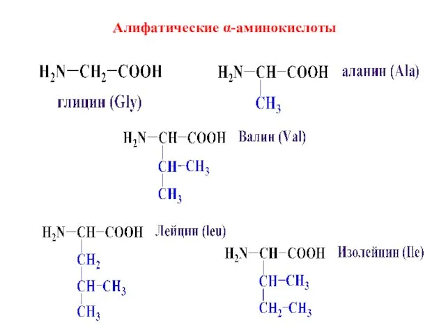 Алифатические α-аминокислоты