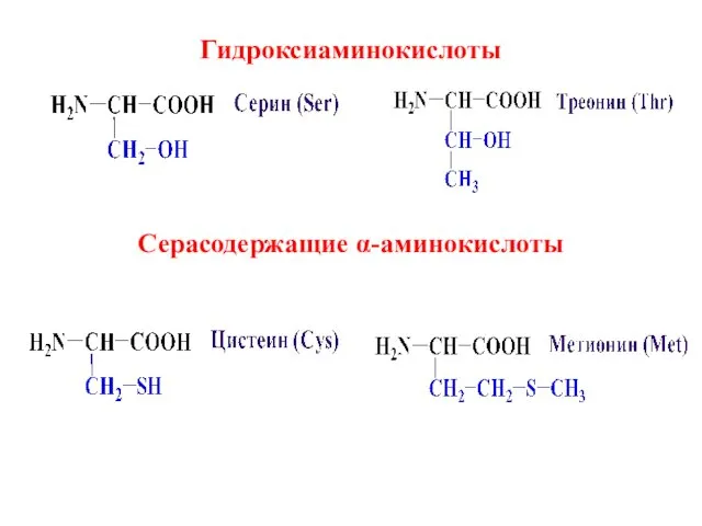 Гидроксиаминокислоты Серасодержащие α-аминокислоты