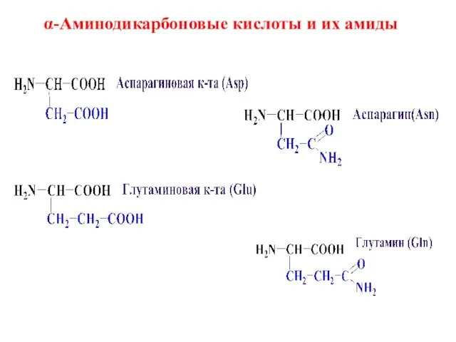 α-Аминодикарбоновые кислоты и их амиды