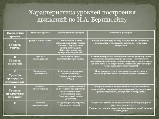 Характеристика уровней построения движений по Н.А. Бернштейну