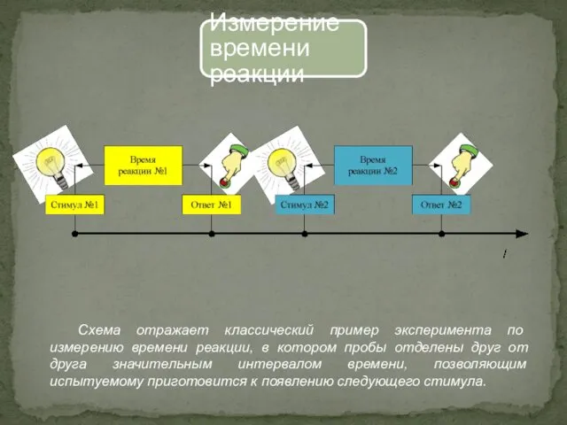 Измерение времени реакции Схема отражает классический пример эксперимента по измерению