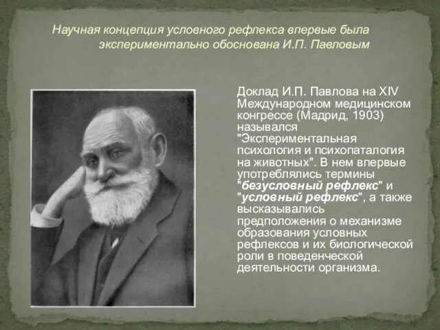 Научная концепция условного рефлекса впервые была экспериментально обоснована И.П. Павловым