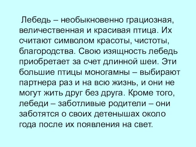 Лебедь – необыкновенно грациозная, величественная и красивая птица. Их считают