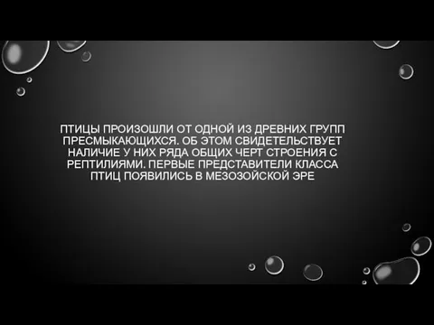 ПТИЦЫ ПРОИЗОШЛИ ОТ ОДНОЙ ИЗ ДРЕВНИХ ГРУПП ПРЕСМЫКАЮЩИХСЯ. ОБ ЭТОМ