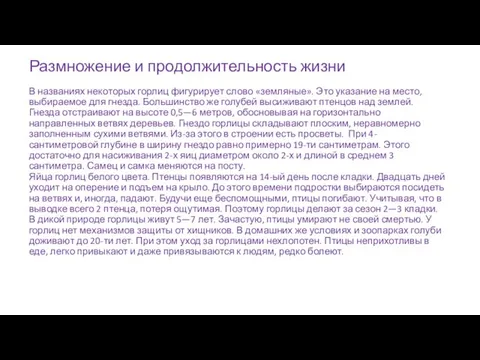 Размножение и продолжительность жизни В названиях некоторых горлиц фигурирует слово