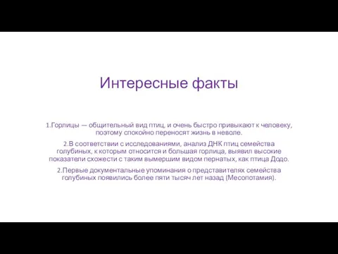 Интересные факты 1.Горлицы — общительный вид птиц, и очень быстро