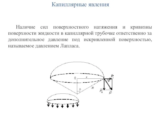 Капиллярные явления Наличие сил поверхностного натяжения и кривизны поверхности жидкости