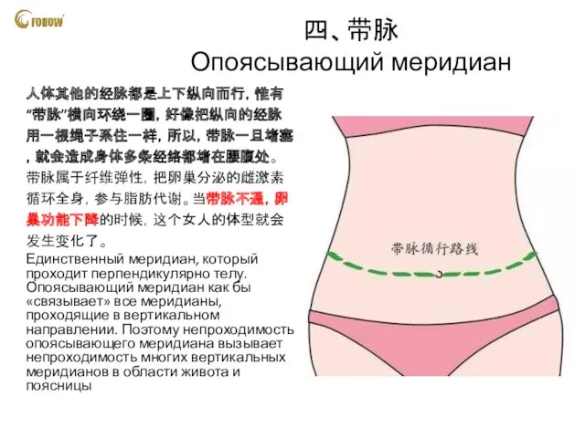 四、带脉 Опоясывающий меридиан 人体其他的经脉都是上下纵向而行，惟有“带脉”横向环绕一圈，好像把纵向的经脉用一根绳子系住一样，所以，带脉一旦堵塞，就会造成身体多条经络都堵在腰腹处。 带脉属于纤维弹性，把卵巢分泌的雌激素循环全身，参与脂肪代谢。当带脉不通，卵巢功能下降的时候，这个女人的体型就会发生变化了。 Единственный меридиан, который проходит перпендикулярно