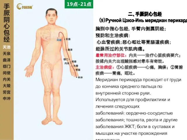 二、手厥阴心包经 （9）Ручной Цзюэ-Инь меридиан перикарда 胸到中指心包经，手臂内侧属阴经； 预防和主治疾病： 心血管疾病；恶心呕吐等胃肠道疾病； 经脉所过的关节肌肉痛。 最常用治疗部位：内关一一治疗心脏疾病要穴；按揉内关穴出现酸胀感对晕车有奇效。