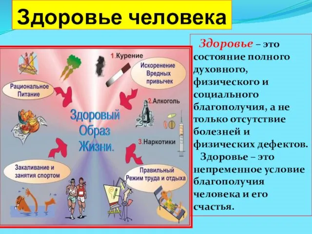 Здоровье человека Здоровье – это состояние полного духовного, физического и