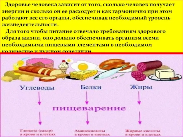 Здоровье человека зависит от того, сколько человек получает энергии и