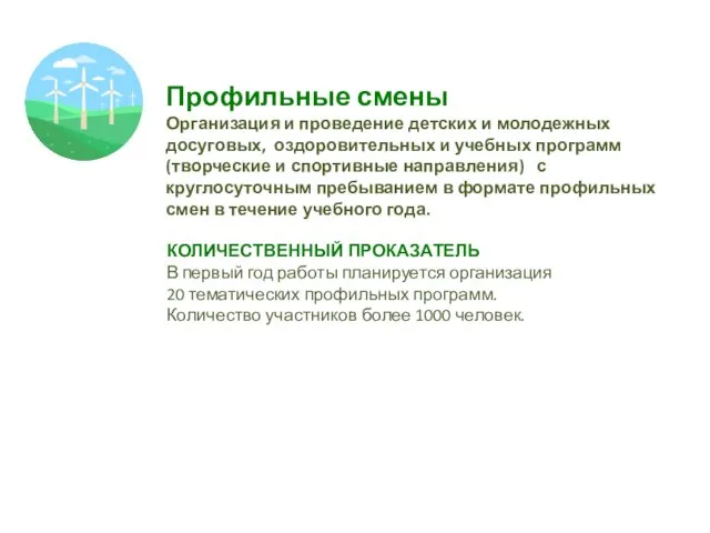 Профильные смены Организация и проведение детских и молодежных досуговых, оздоровительных