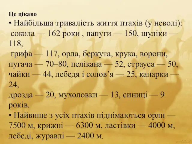 Це цікаво • Найбільша тривалість життя птахів (у неволі): сокола