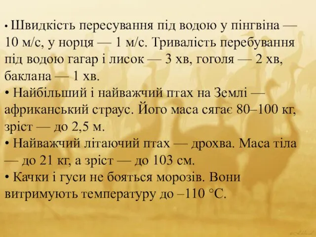 • Швидкість пересування під водою у пінгвіна — 10 м/с,