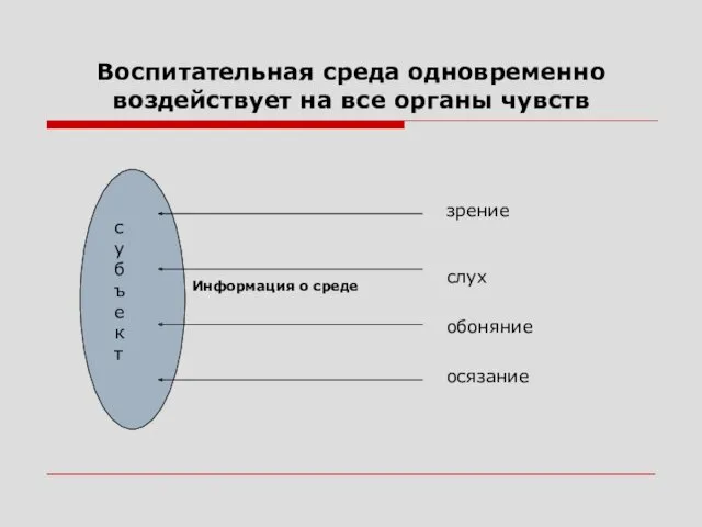 Воспитательная среда одновременно воздействует на все органы чувств субъект Информация о среде зрение слух обоняние осязание