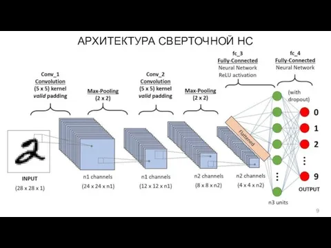 АРХИТЕКТУРА СВЕРТОЧНОЙ НС