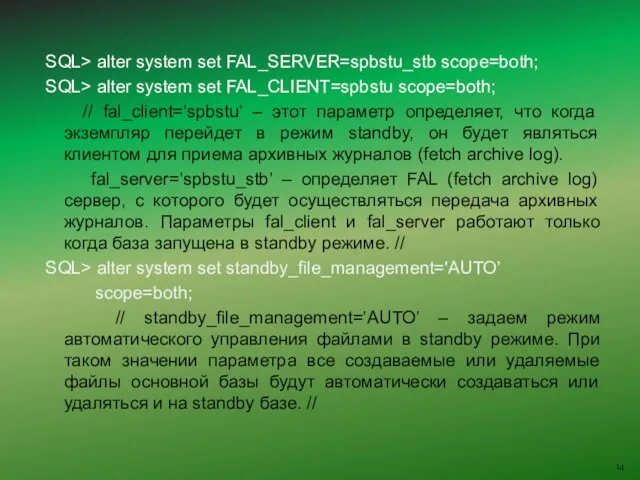 SQL> alter system set FAL_SERVER=spbstu_stb scope=both; SQL> alter system set