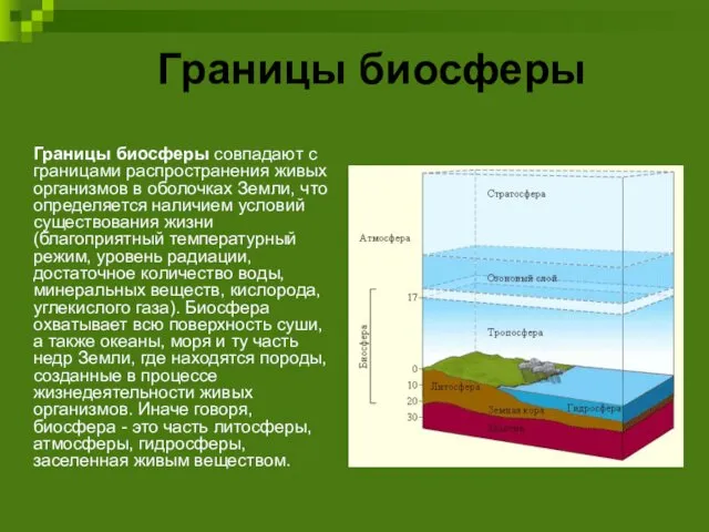 Границы биосферы Границы биосферы совпадают с границами распространения живых организмов