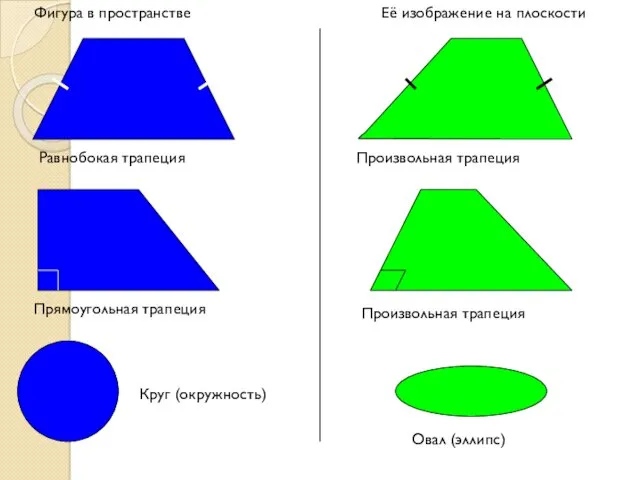 Фигура в пространстве Её изображение на плоскости Равнобокая трапеция Произвольная