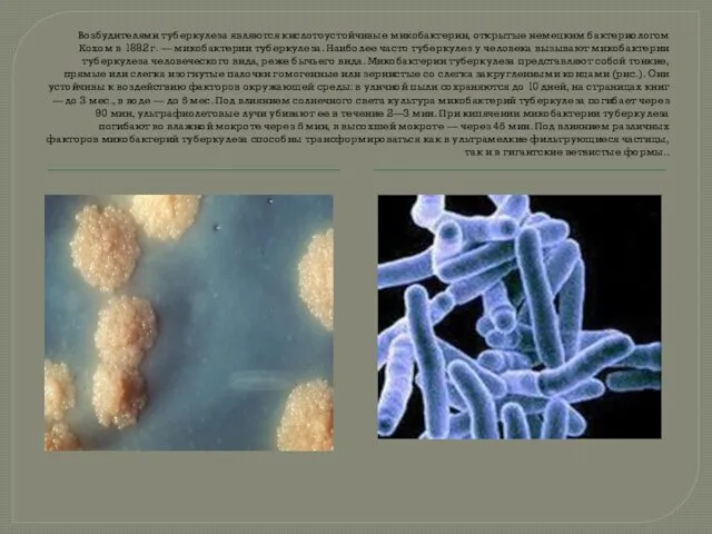 Возбудителями туберкулеза являются кислотоустойчивые микобактерии, открытые немецким бактериологом Кохом в