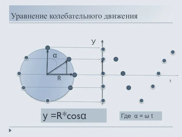 Уравнение колебательного движения α У R у =R*cosα t Где α = ω t