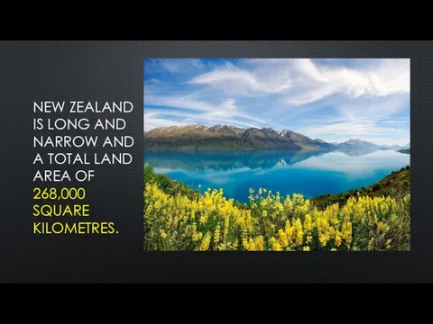 NEW ZEALAND IS LONG AND NARROW AND A TOTAL LAND AREA OF 268,000 SQUARE KILOMETRES.