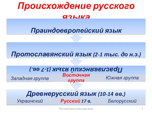 Происхождение русского языка Русский язык и культура речи