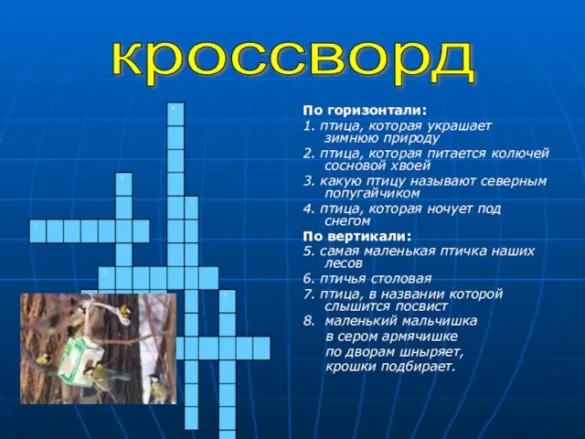 По горизонтали: 1. птица, которая украшает зимнюю природу 2. птица,