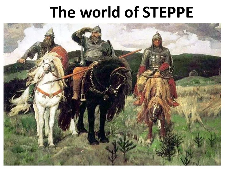 The world of STEPPE