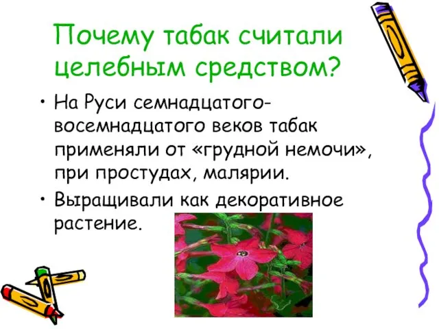 Почему табак считали целебным средством? На Руси семнадцатого-восемнадцатого веков табак применяли от «грудной