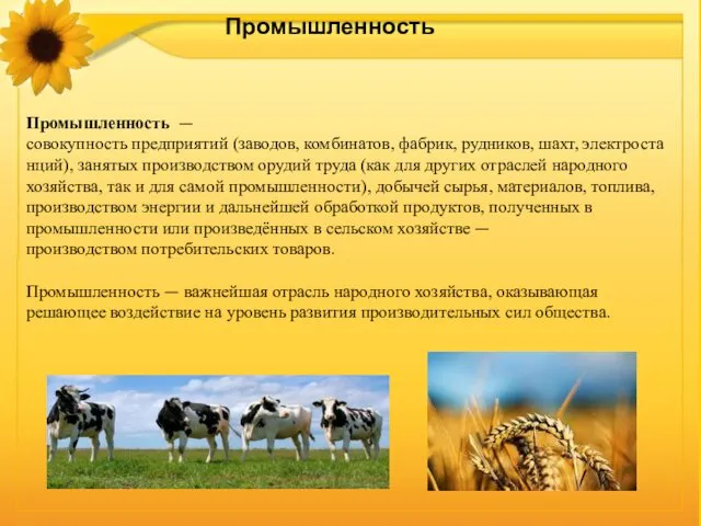 Промышленность Промышленность — совокупность предприятий (заводов, комбинатов, фабрик, рудников, шахт,