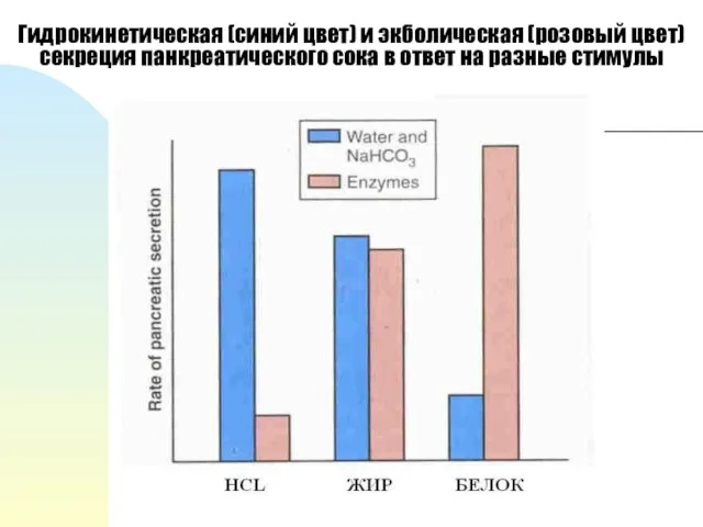 Гидрокинетическая (синий цвет) и экболическая (розовый цвет) секреция панкреатического сока в ответ на разные стимулы