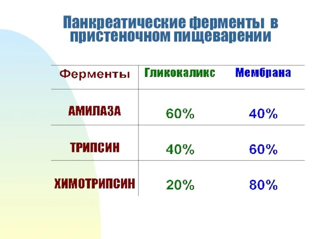 Панкреатические ферменты в пристеночном пищеварении