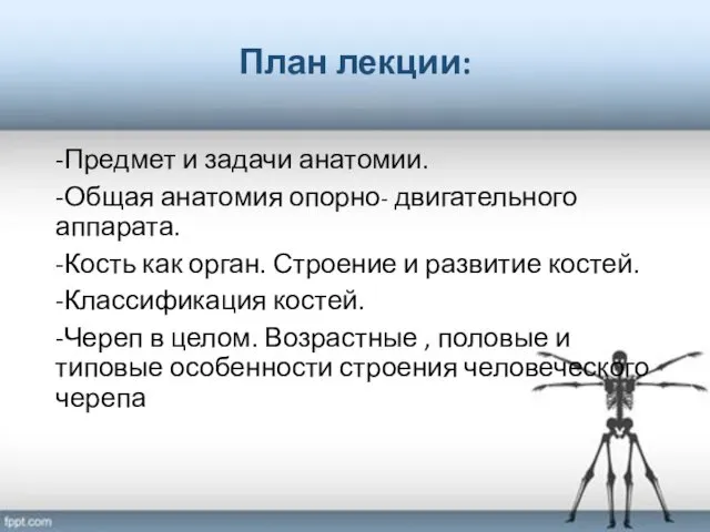 План лекции: -Предмет и задачи анатомии. -Общая анатомия опорно- двигательного