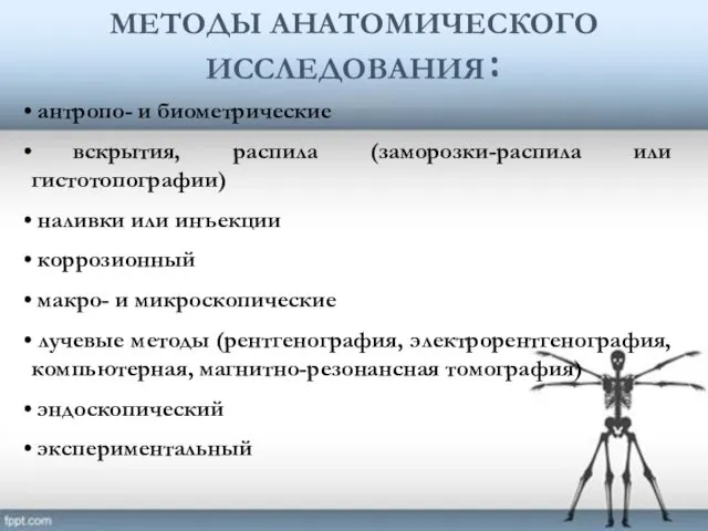 МЕТОДЫ АНАТОМИЧЕСКОГО ИССЛЕДОВАНИЯ: антропо- и биометрические вскрытия, распила (заморозки-распила или