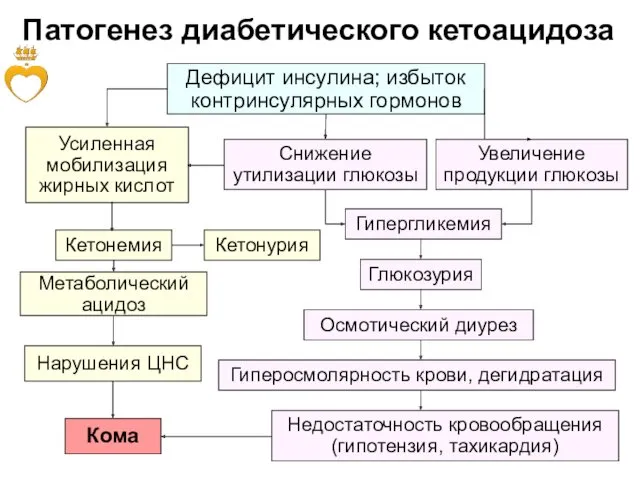 Патогенез диабетического кетоацидоза Дефицит инсулина; избыток контринсулярных гормонов Снижение утилизации