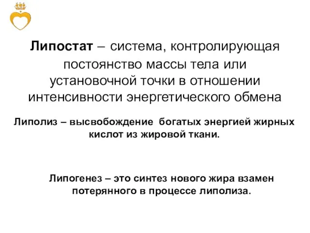 Липостат – система, контролирующая постоянство массы тела или установочной точки