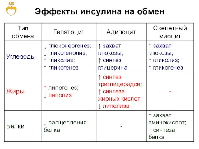 Эффекты инсулина на обмен