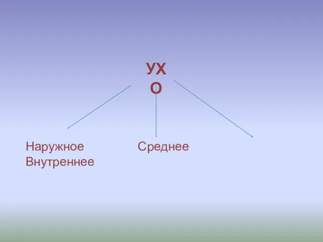 УХО Наружное Среднее Внутреннее