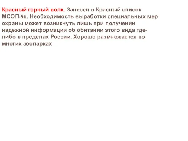 Красный горный волк. Занесен в Красный список МСОП-96. Необходимость выработки