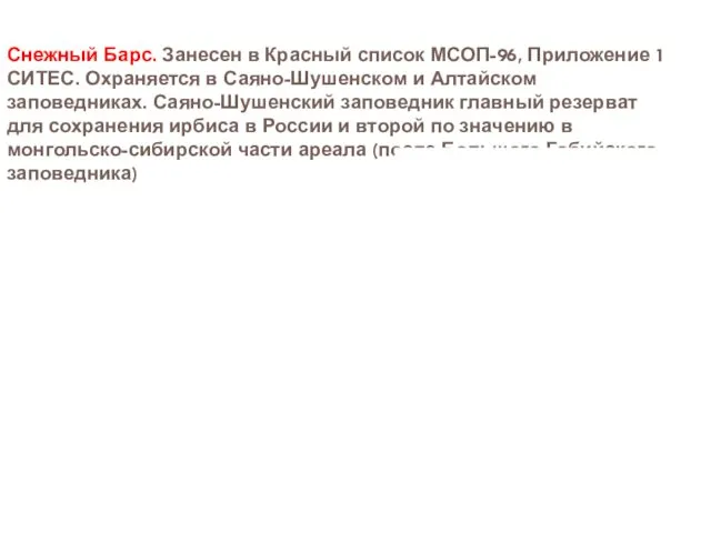 Снежный Барс. Занесен в Красный список МСОП-96, Приложение 1 СИТЕС. Охраняется в Саяно-Шушенском