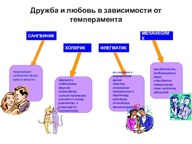 Дружба и любовь в зависимости от темперамента ФЛЕГМАТИК ХОЛЕРИК МЕЛАНХОЛИК