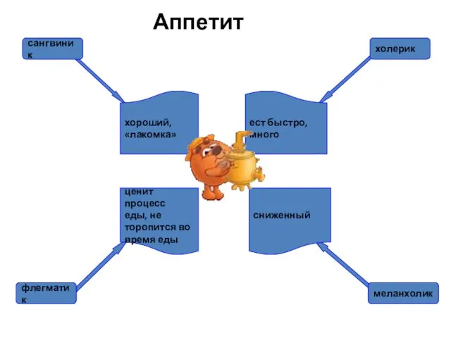 Аппетит сангвиник холерик флегматик меланхолик хороший, «лакомка» ест быстро, много