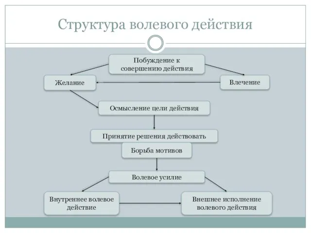 Структура волевого действия