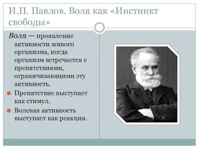 И.П. Павлов. Воля как «Инстинкт свободы» Воля — проявление активности