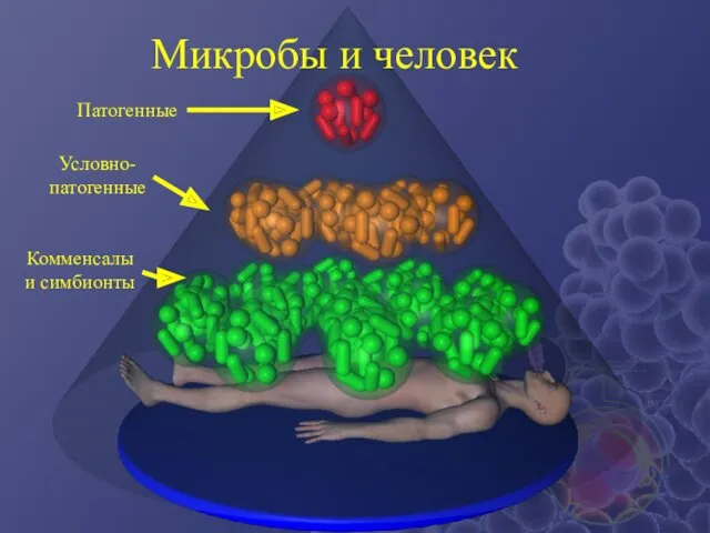 Микробы и человек Патогенные Условно-патогенные Комменсалы и симбионты