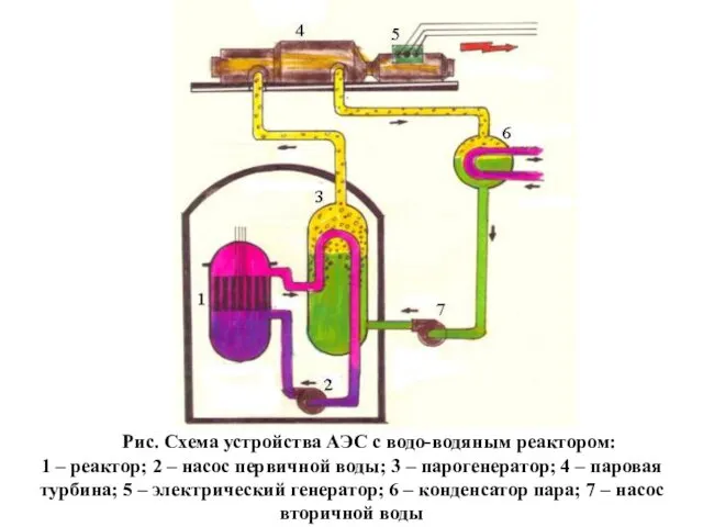 Рис. Схема устройства АЭС с водо-водяным реактором: 1 – реактор; 2 – насос