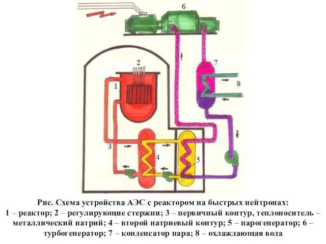 Рис. Схема устройства АЭС с реактором на быстрых нейтронах: 1 – реактор; 2