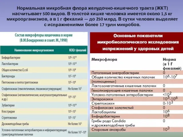 Нормальная микробная флора желудочно-кишечного тракта (ЖКТ) насчитывает 500 видов. В толстой кишке человека