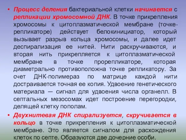 Процесс деления бактериальной клетки начинается с репликации хромосомной ДНК. В